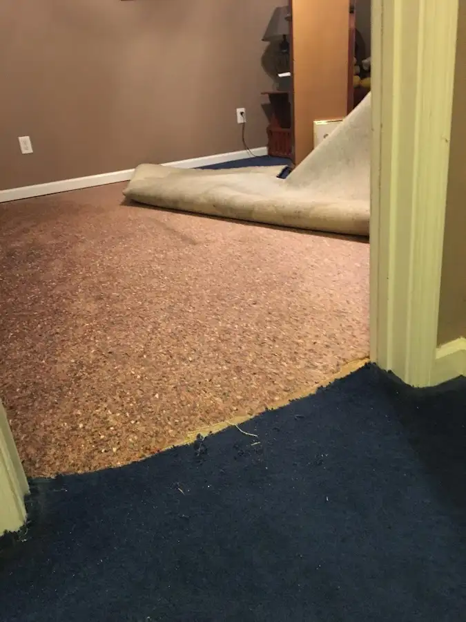 Carpet pad removal revealing water damage during Water Mitigation Services in Henniker